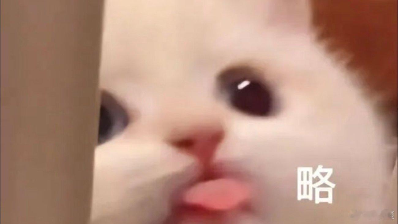 小猫表情包。 ​​​