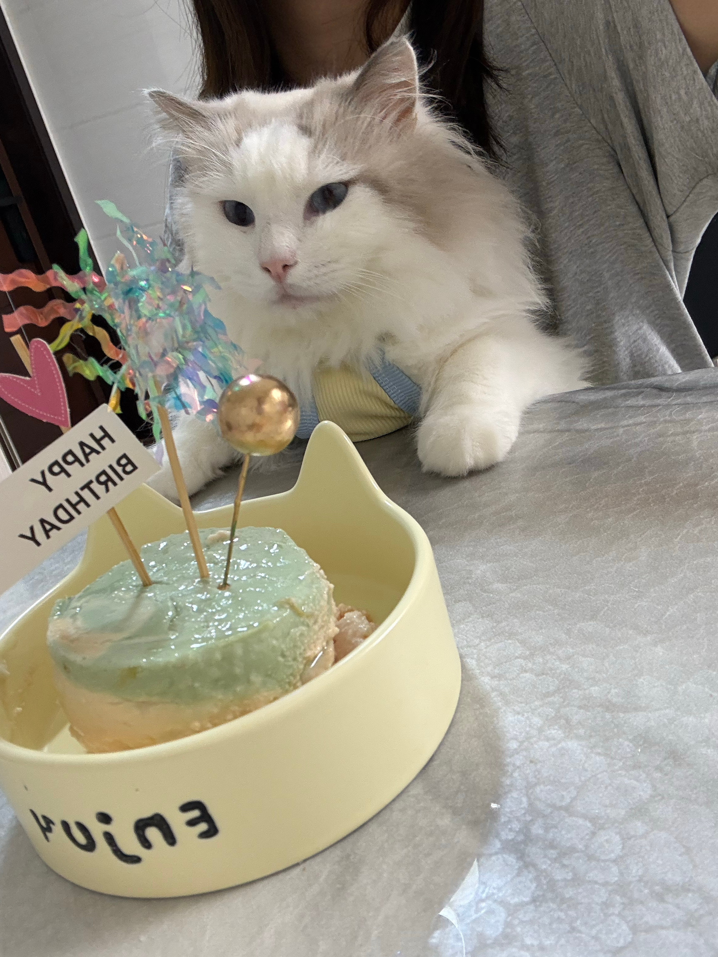 🎂 ​​​