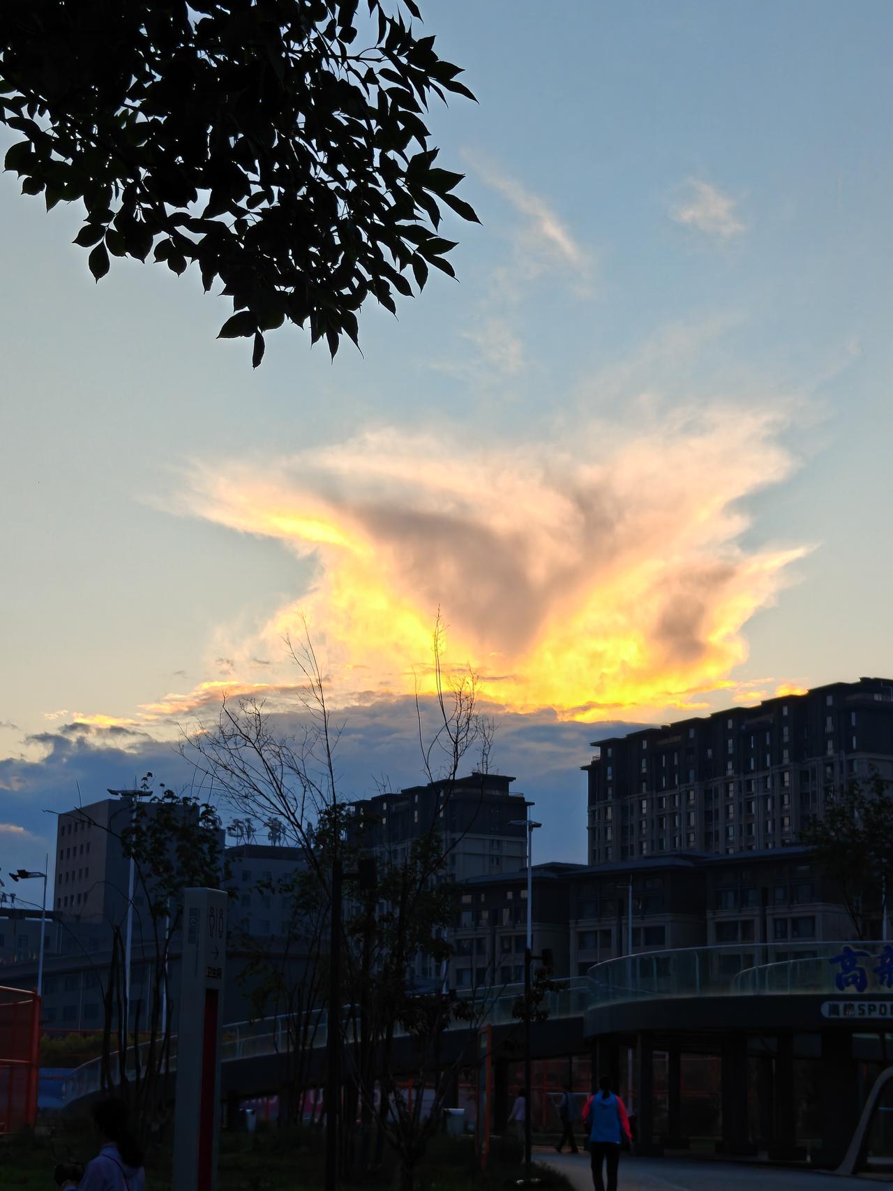 记录我的2026又见夕阳红，发现美是灵感，留住美是技术。