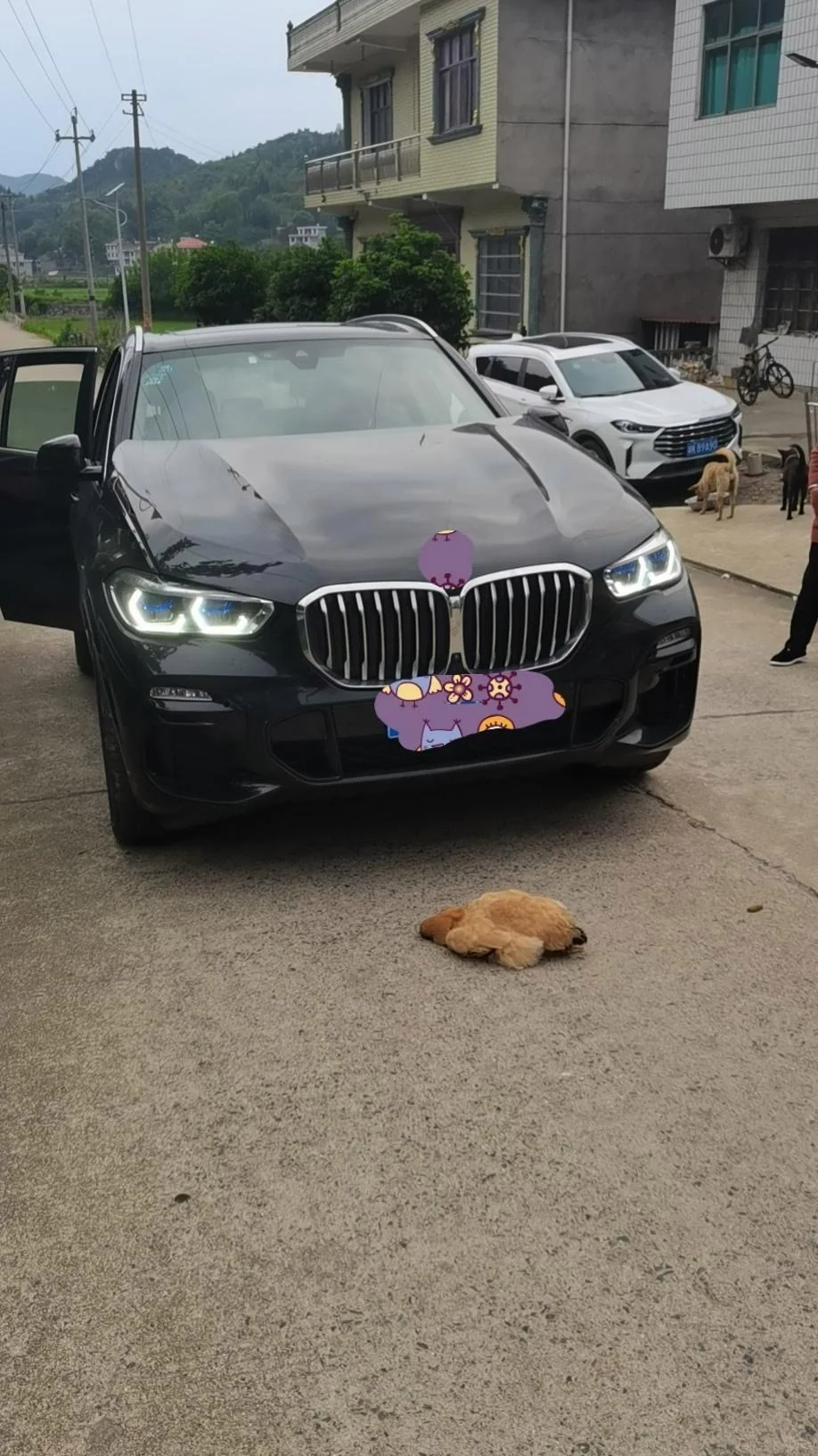 宝马X5的行人保护装置确实牛！
灵敏度高，但一般人用不起。
各位宝马车主可能永远...