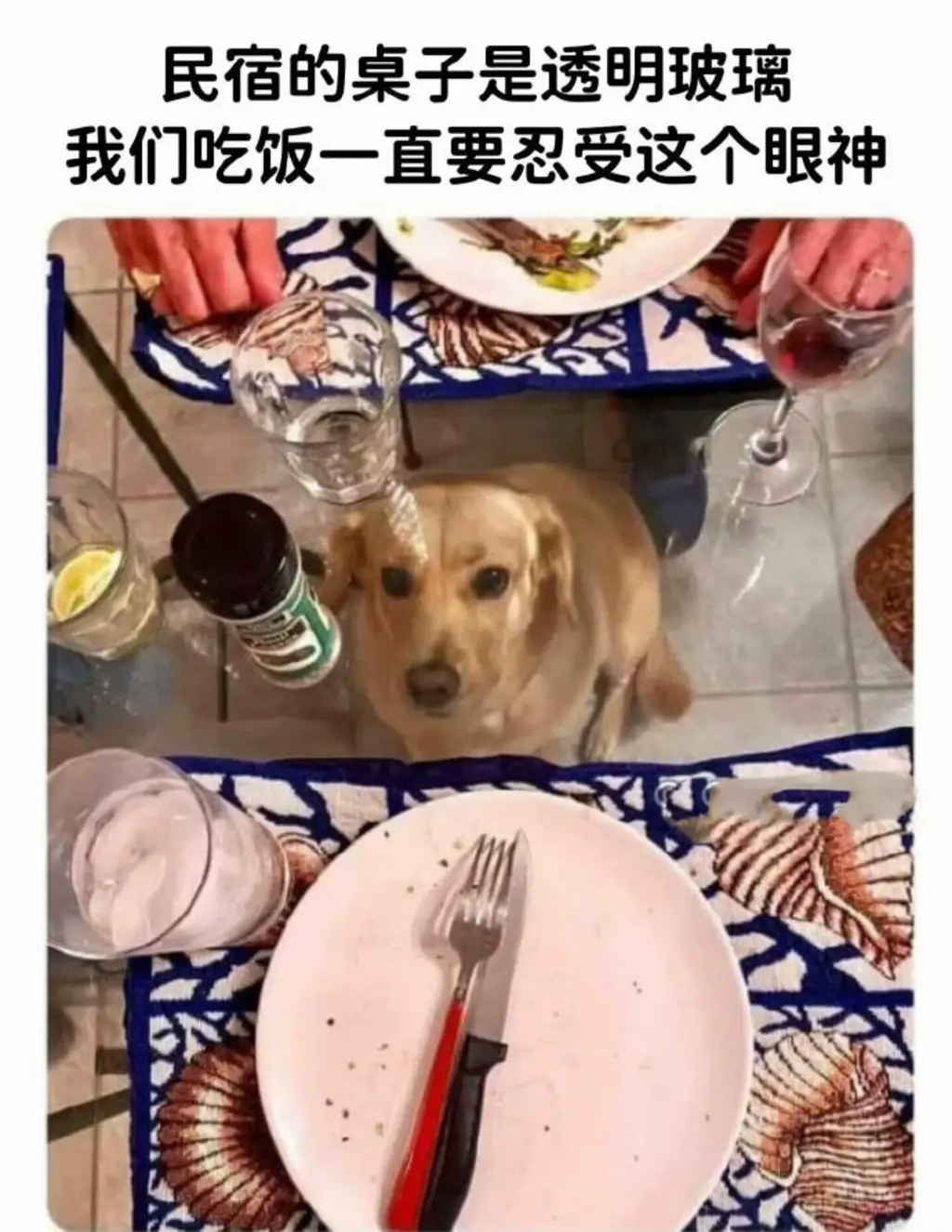 车若初见 收齐你的小眼神，有时候真的很影响食欲