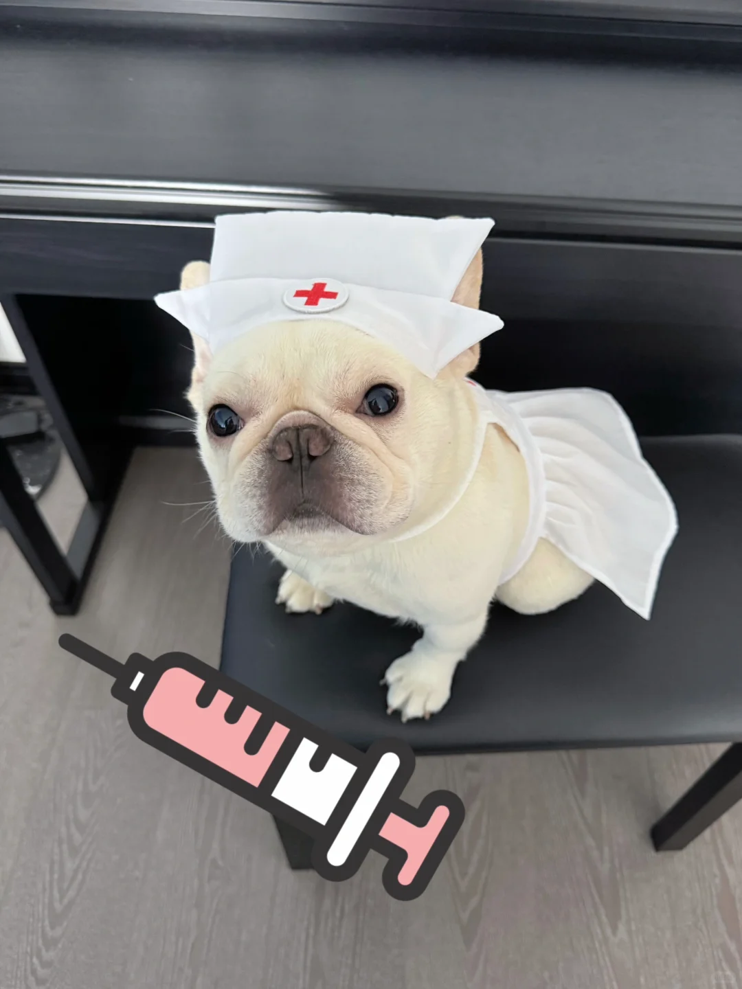 我看谁敢和护士小狗嬉皮笑脸的