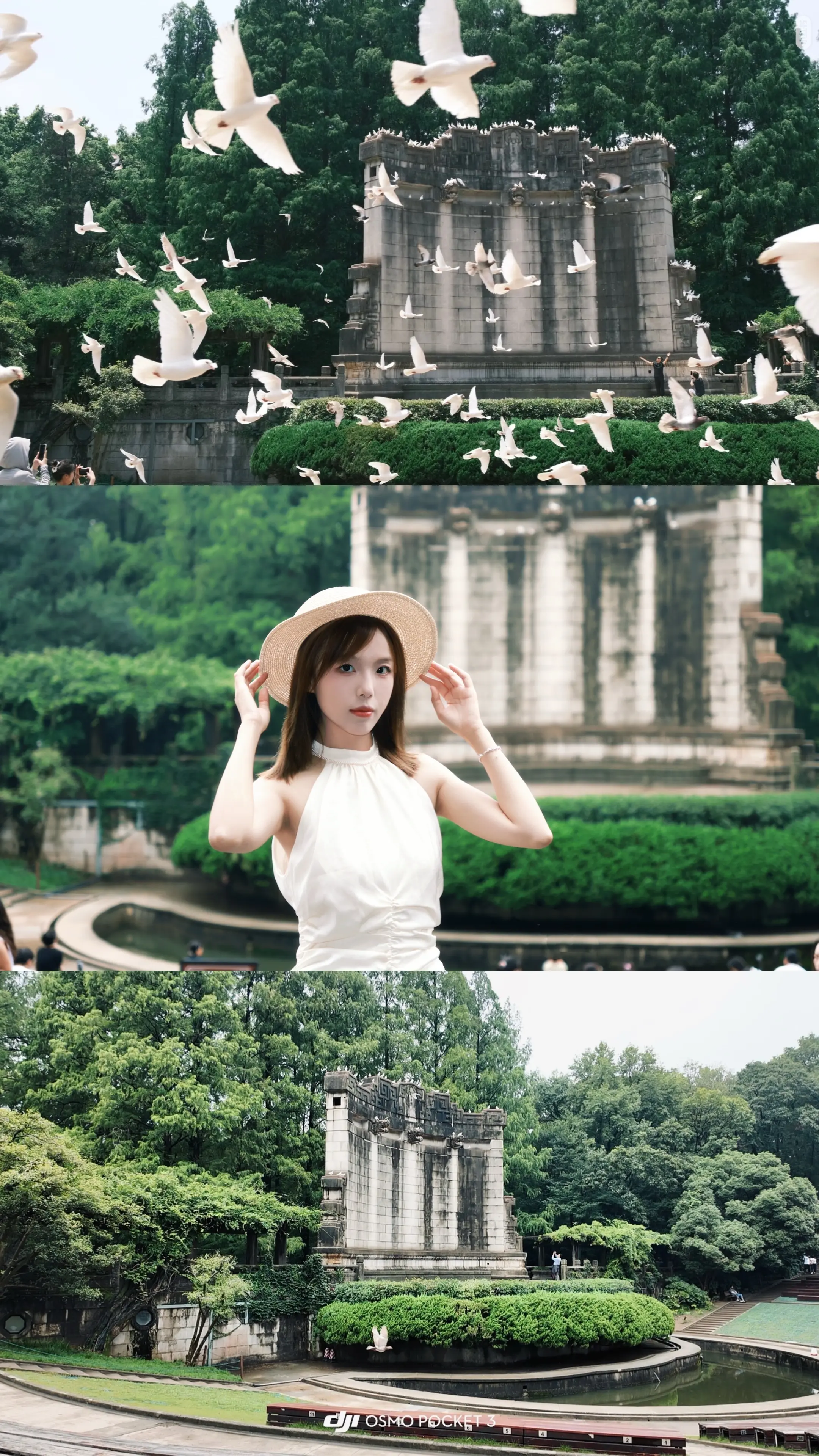 🕊️₊ 𓍢ִ໋.°🏛️ ⊹﹆˖🎼 于是我来到南京