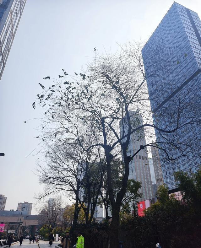在网络上，不少人迷信武力在现代国家中的作用，是因为他们没有看清人类早已进入了一个