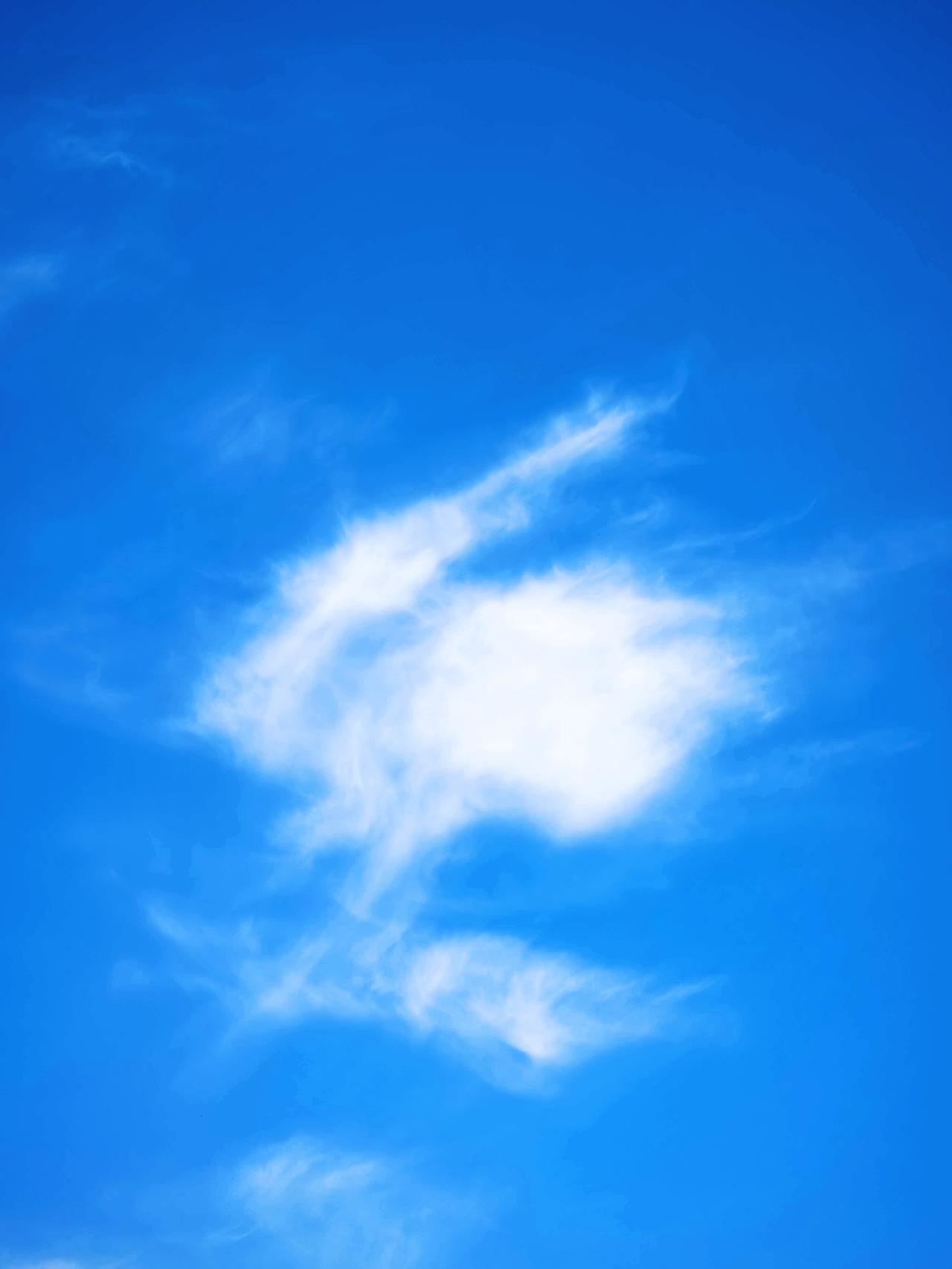 一个人有没有开智慧？
你就看他所表达的观念，
是从哪里来的？
以及对待来源的态度