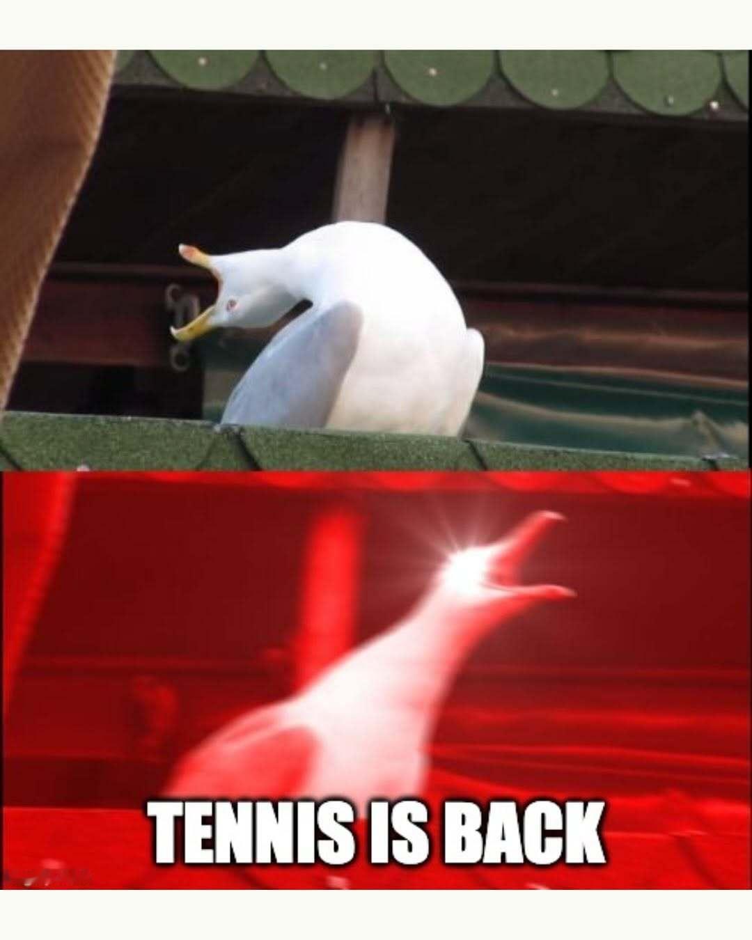 有网球的日子回来了😎每天睁眼就有比赛看的心情be like： 