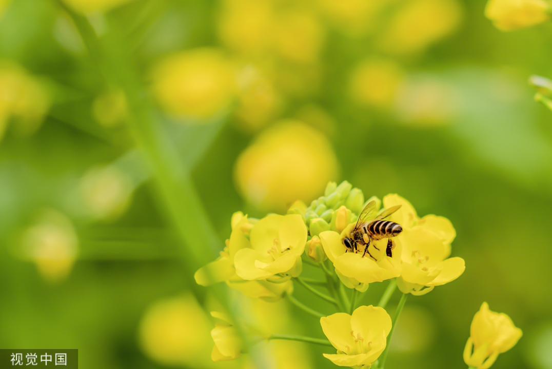 12。它不仅是获取知识的途径，更是拓宽视野、塑造思维、滋养心灵的独特旅程。

-
