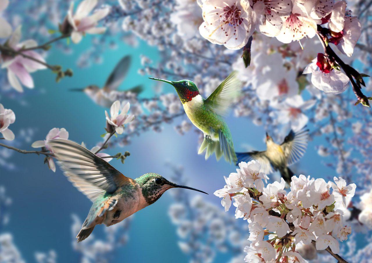 赏析：这幅对联的下联“民康物阜福如潮”与上联“鸟语花香春似画”相映成趣。下联以民