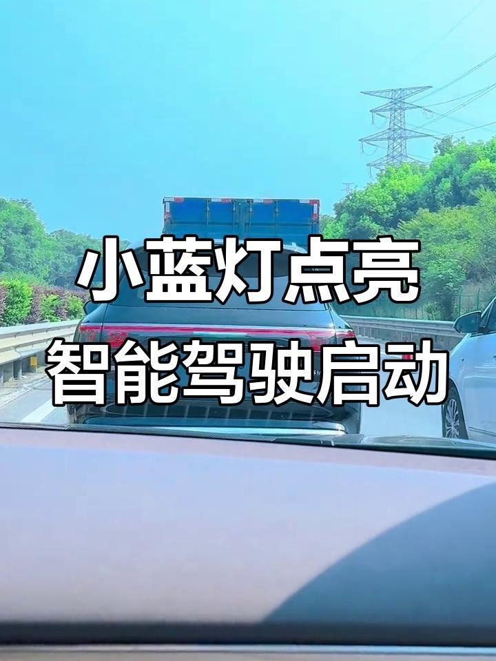 小蓝灯有注意过有的车子会额外有一个小蓝灯的指示吗？这个就代表车子处于智能辅助驾驶