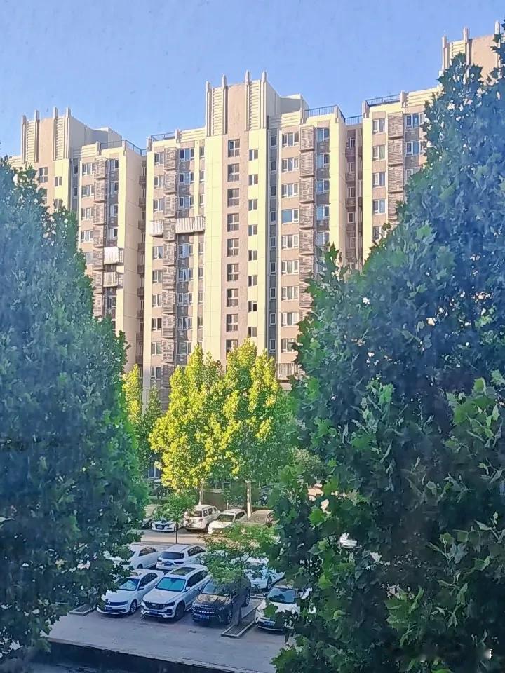 每日一图
相同位置
不同心境
活着
就是艰难跋涉
痛
并快乐