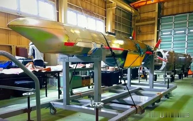 0.8马赫还想突防？在咱们的“盾”面前，这速度就是个“活靶子”！

日本新导弹吹