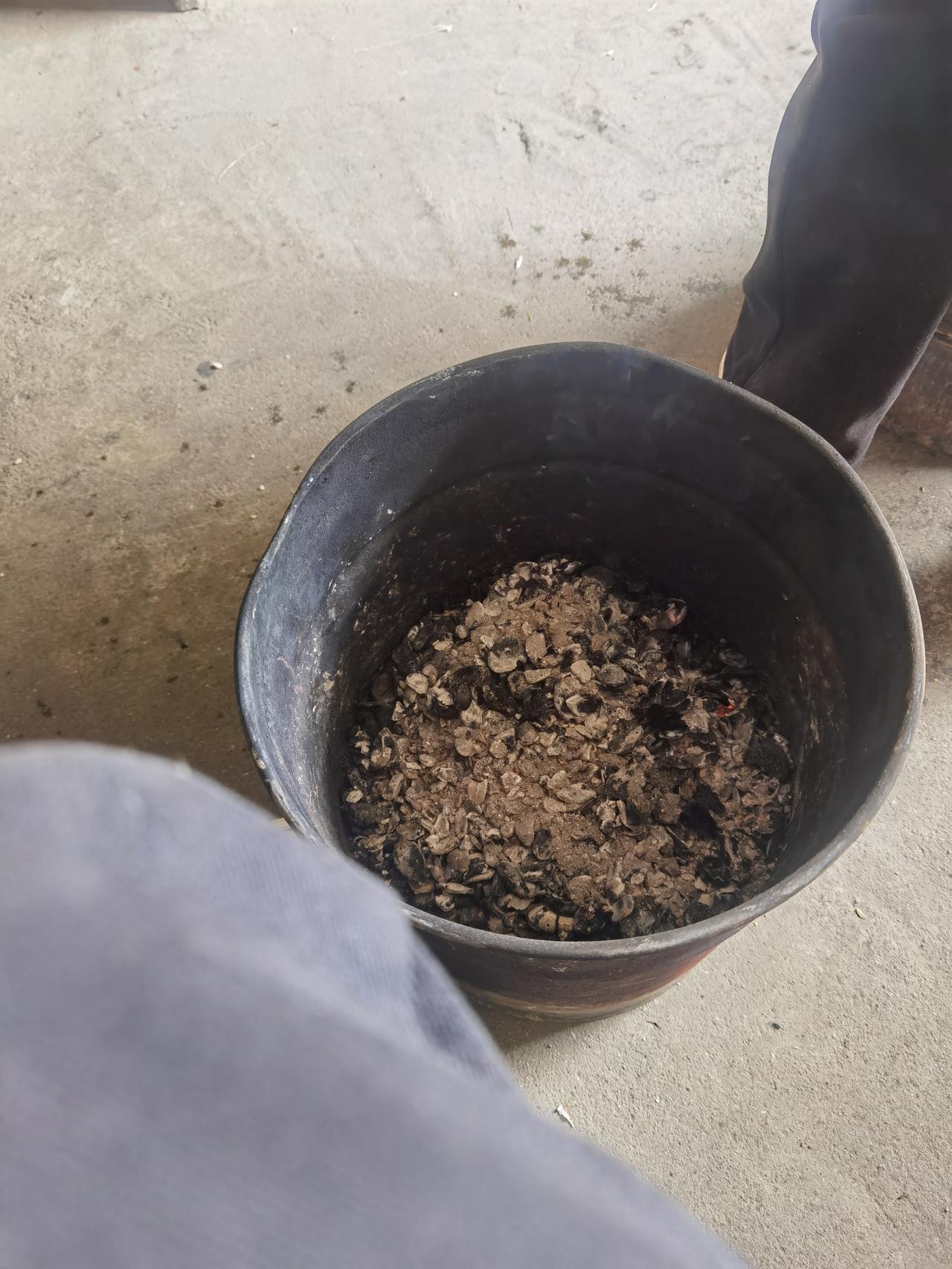 今天星期六我的家人和我在一起烘火，特别暖和。