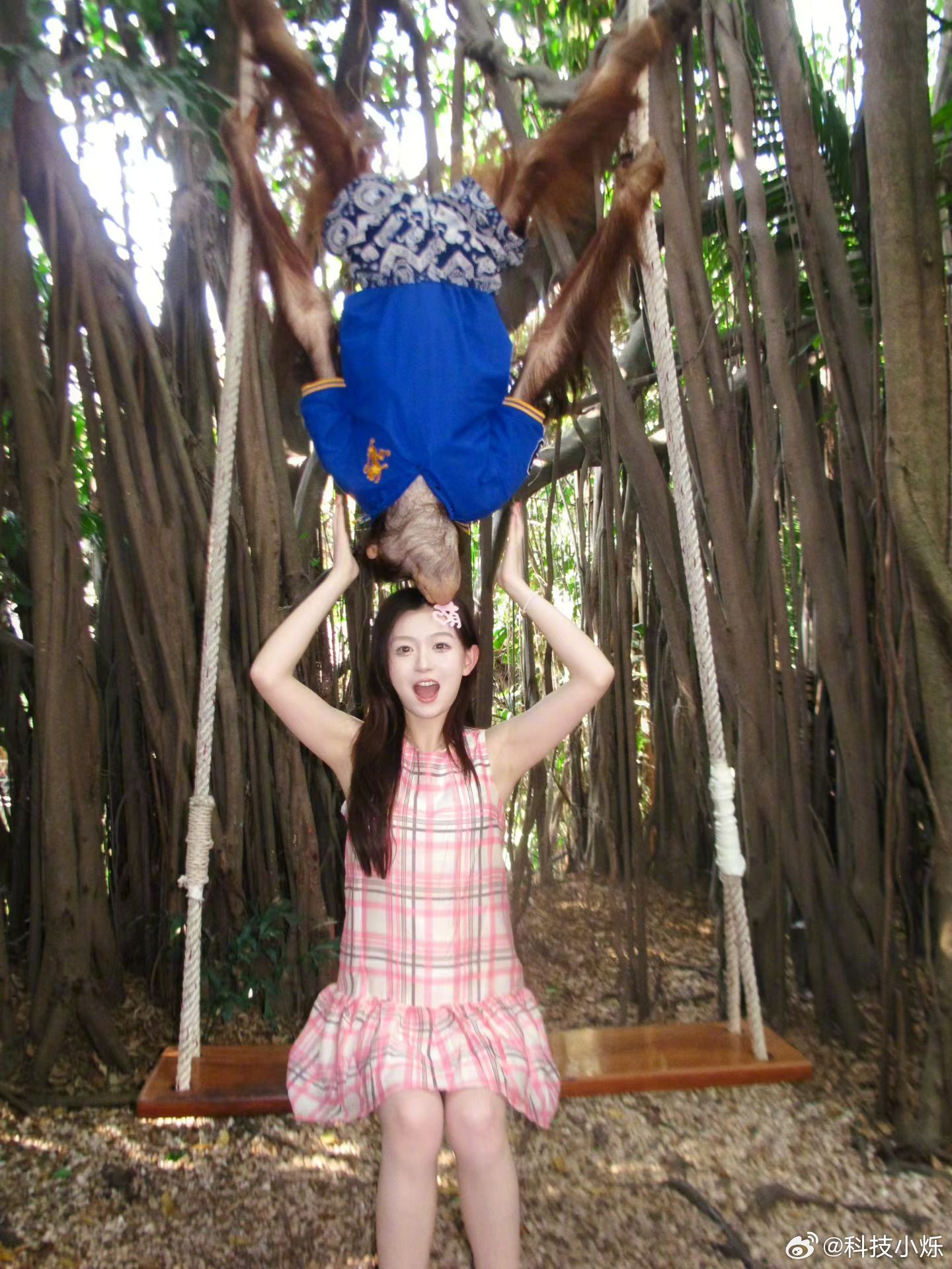 去泰国转一圈回来了，这才没多久就开始想念我的猴猴朋友了🐵萌界一把刀谁碰谁受伤