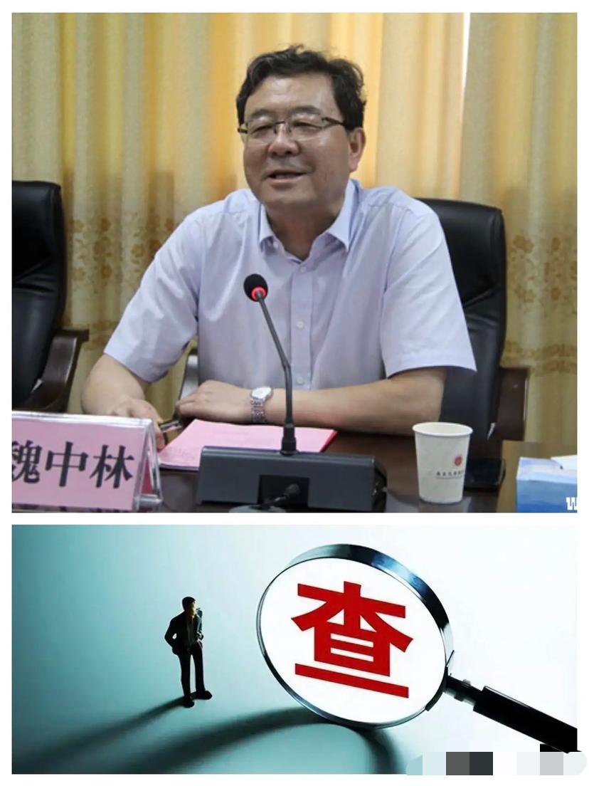 高知教育干部晚节不保，令人唏嘘

魏中林，男，1956年11月生于内蒙古呼和浩特