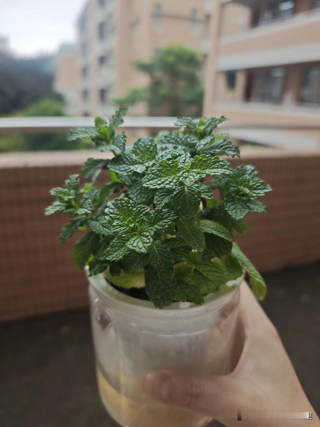 据说今年高三9月1号开学，大家开不开心。高三考试时间 高三假期时间 2026开学
