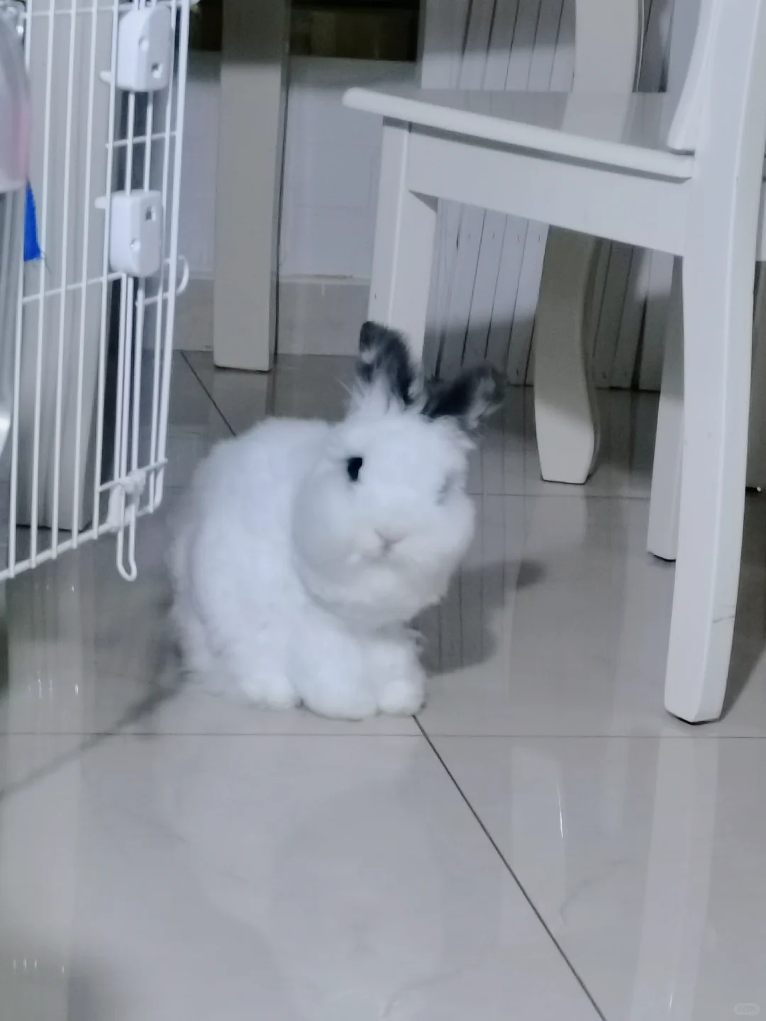 宝宝, 你是一个棉花糖