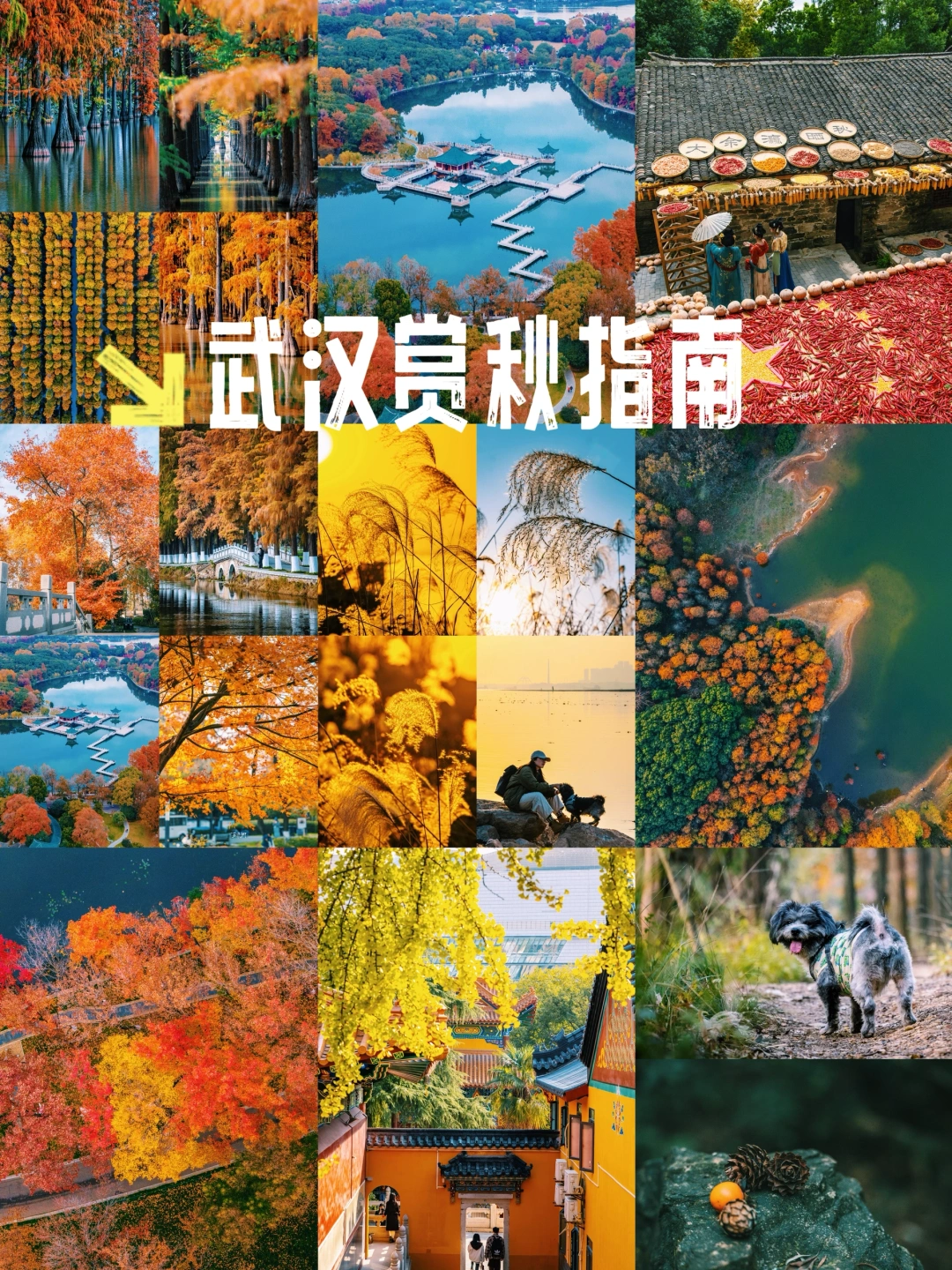 接下来的武汉，美到封神‼️18张图7个赏秋点