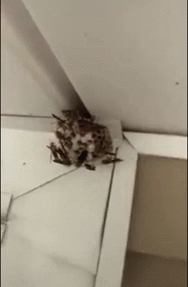 分享图片 ​​​