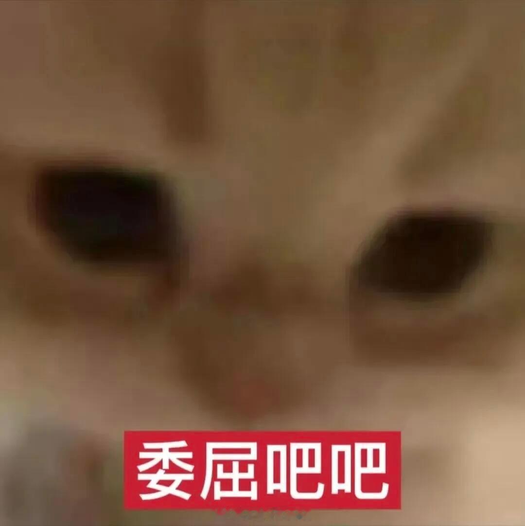 光与夜之恋萧逸  萧逸特别宝贝自己的结婚戒指。他什么都可以不戴，但绝对不能不戴结