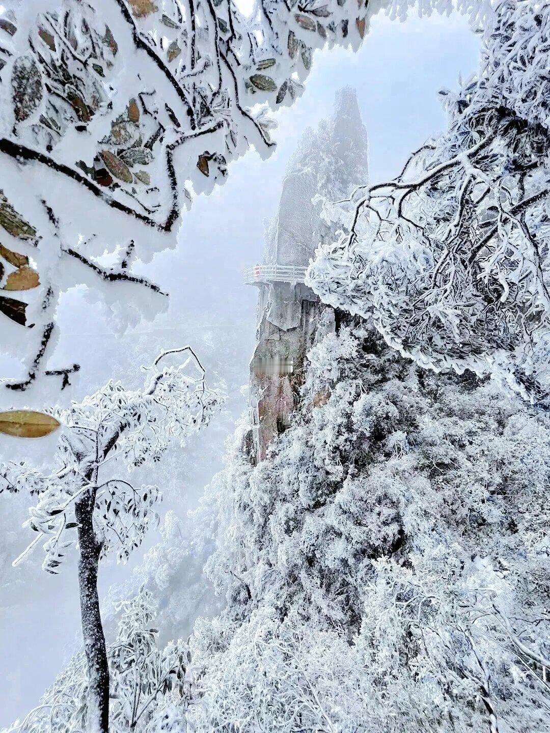我们找到一座不用爬的雪山！广深1.5h直达‼
