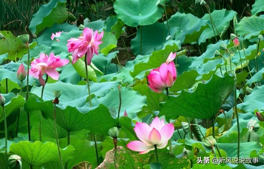 ❤️每个人的生命中总有那么一个时刻，过去渐行渐远，未来悄然打开。

​当你站在选