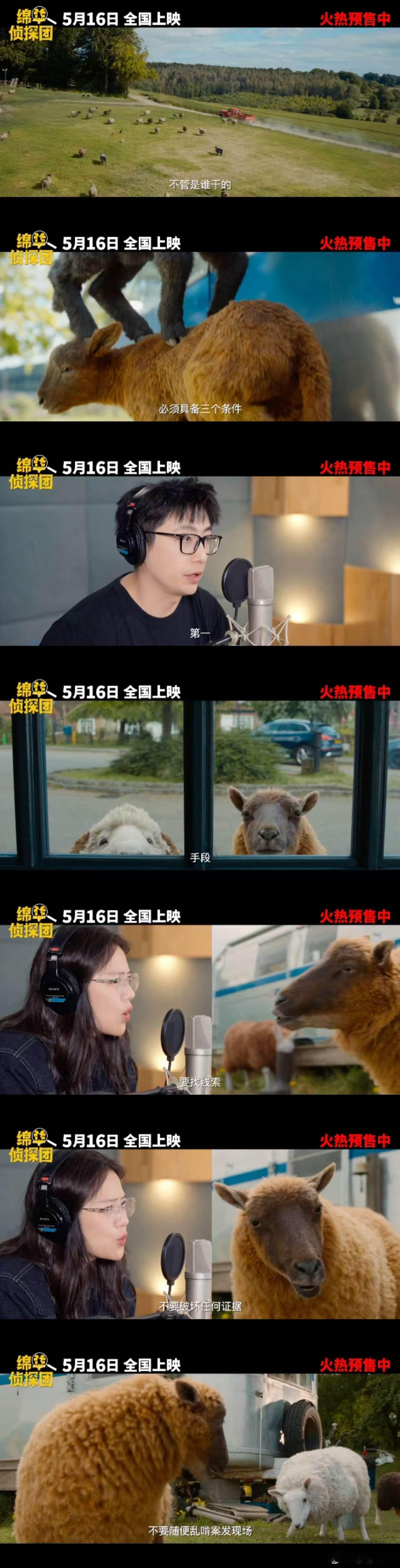 绵羊侦探团中文配音阵容 许知远和陈鲁豫联合配音，化身呆萌绵羊探员，“咩咩”声中传