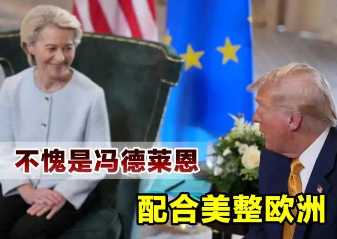 一针见血啊！奥地利前外长克奈斯尔认为，在欧盟主席冯德莱恩等人的带领之下，欧盟正在