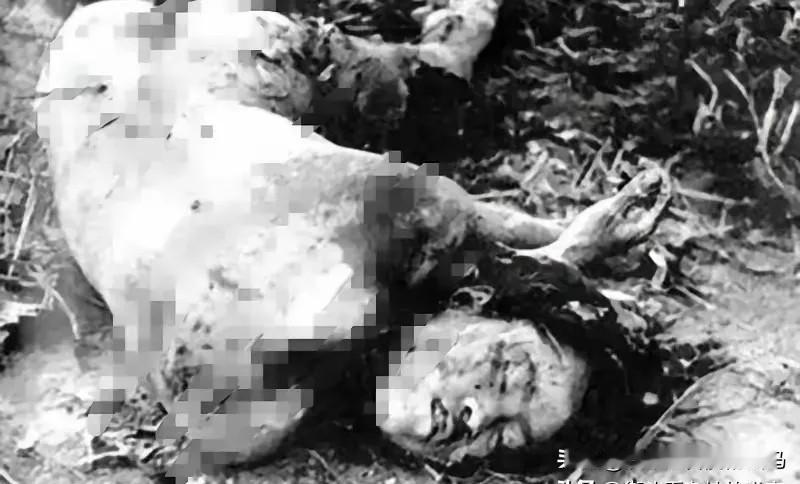 1943年，刘耀梅，被日军杀害后留下的镜头，这一张照片是由八路军战地记者叶曼之拍