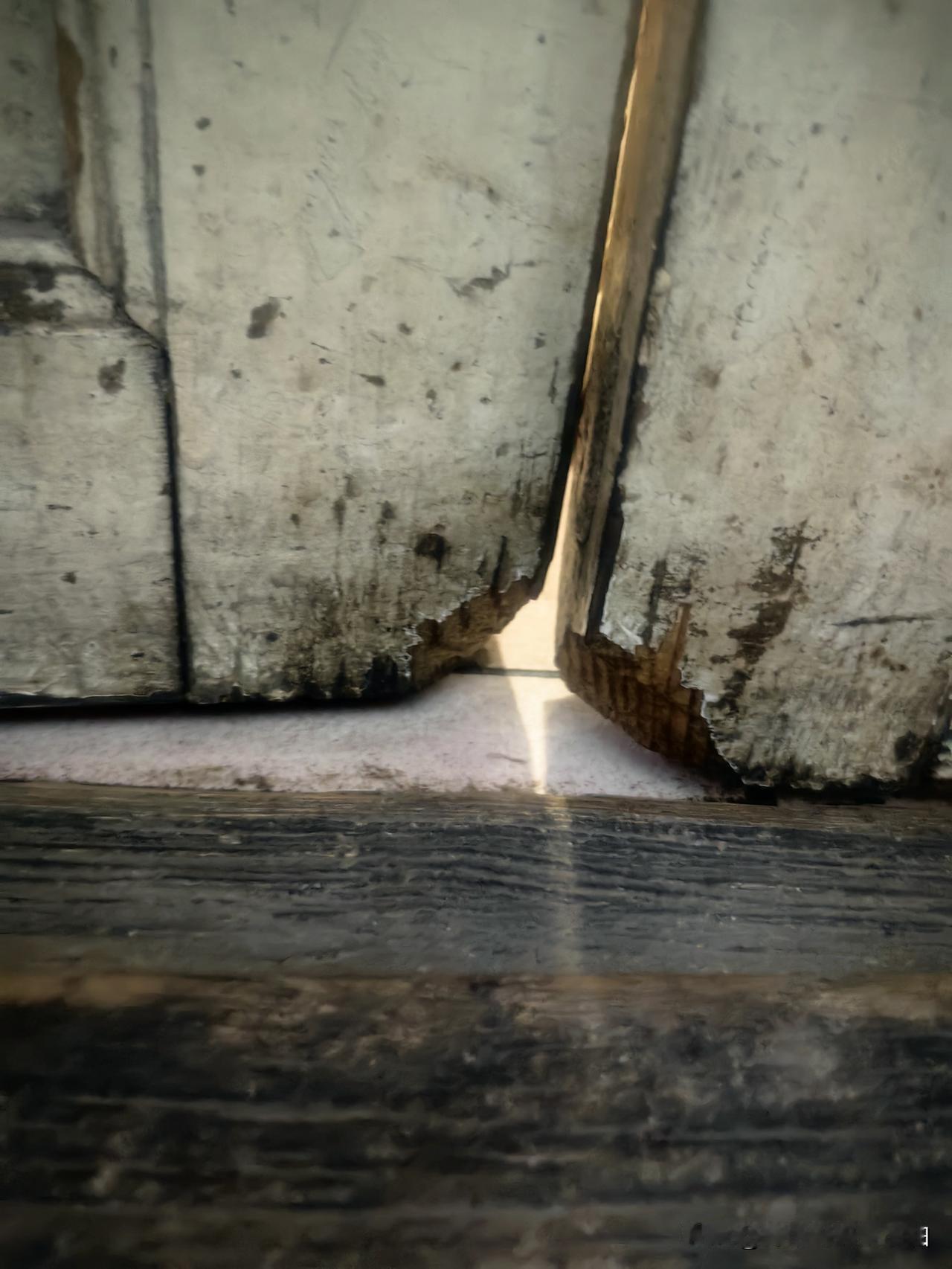 看老鼠把屋门给咬成啥样了，去年冬天我们在医院住的时间长，屋里就闺女一个人在，老鼠