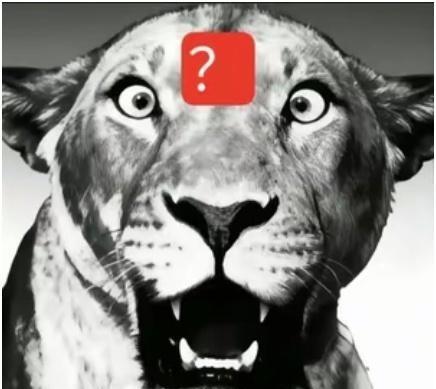 你支不支持饭店必须对拥有残疾证的公民提供免费的爱心餐？
政府可以通过发放爱心餐兑