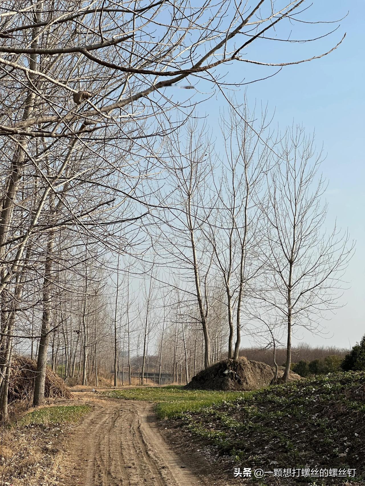 为什么南京、武汉、上海、广东省等各个城市和省份都在反思自身没有长出像杭州六小龙之