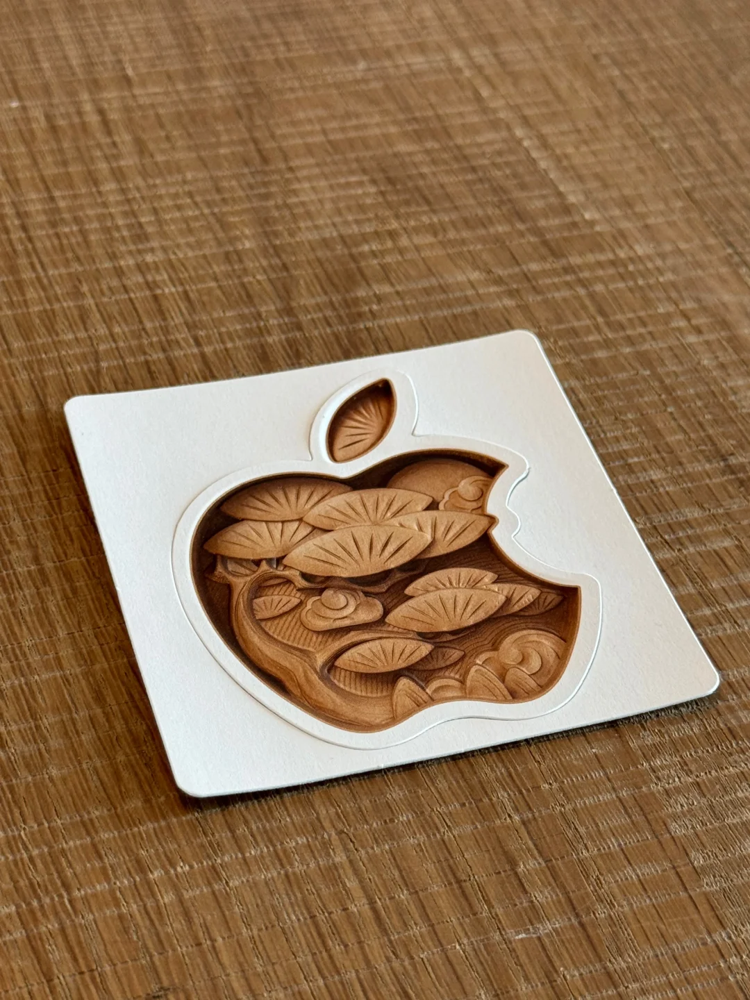 安徽首家AppleStore提前探店 纪念品开箱