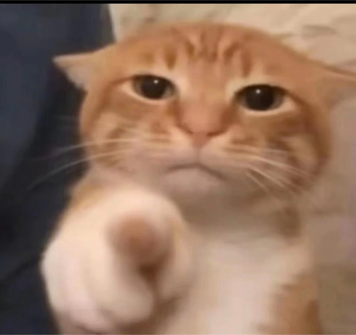 直播间禁售13类食品新规今起实施 我刚才刷到几个主播还在卖毛肚……和315那个一