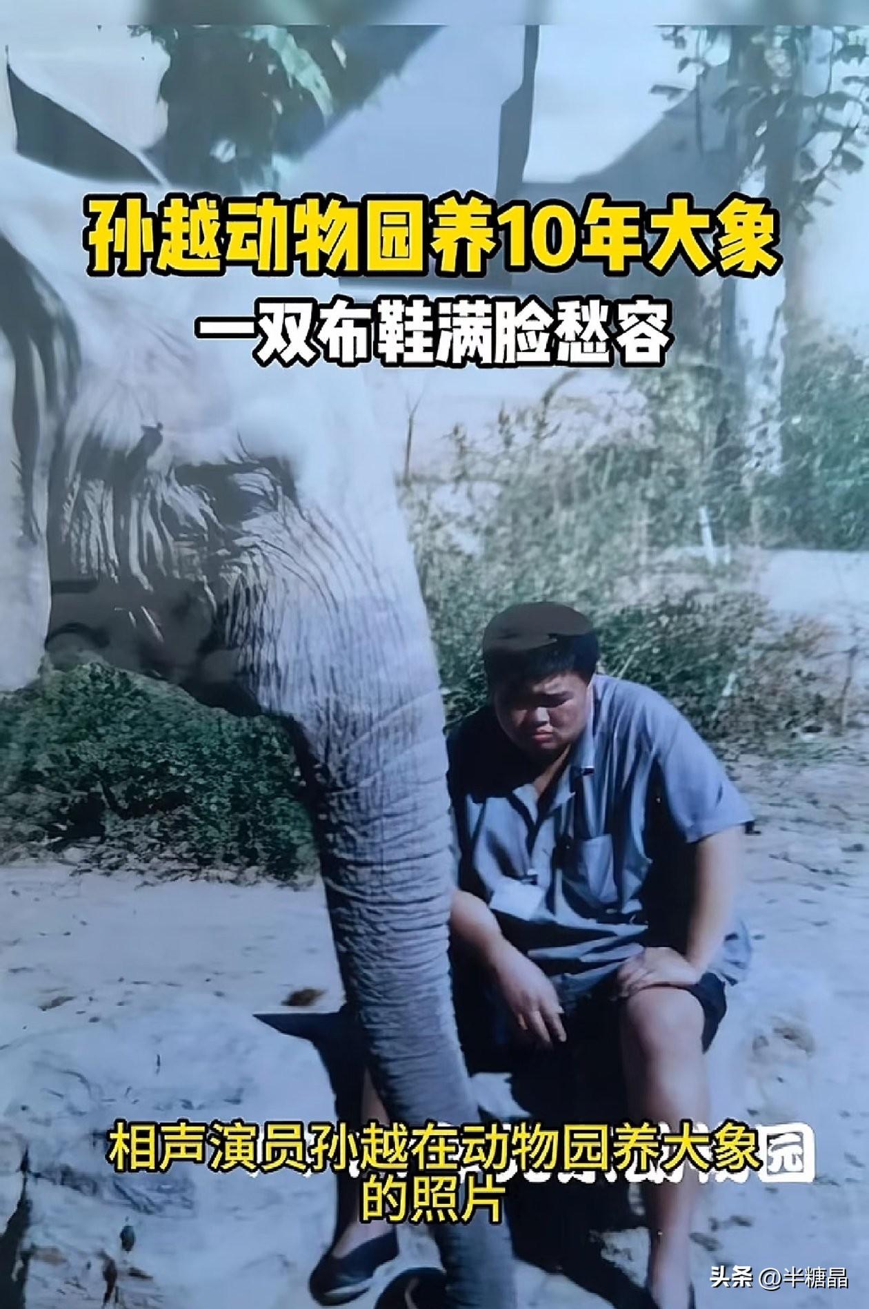一位大象饲养员逆袭德云社相声著名的捧哏。相声演员孙越曾在北京动物园当了十年大象饲