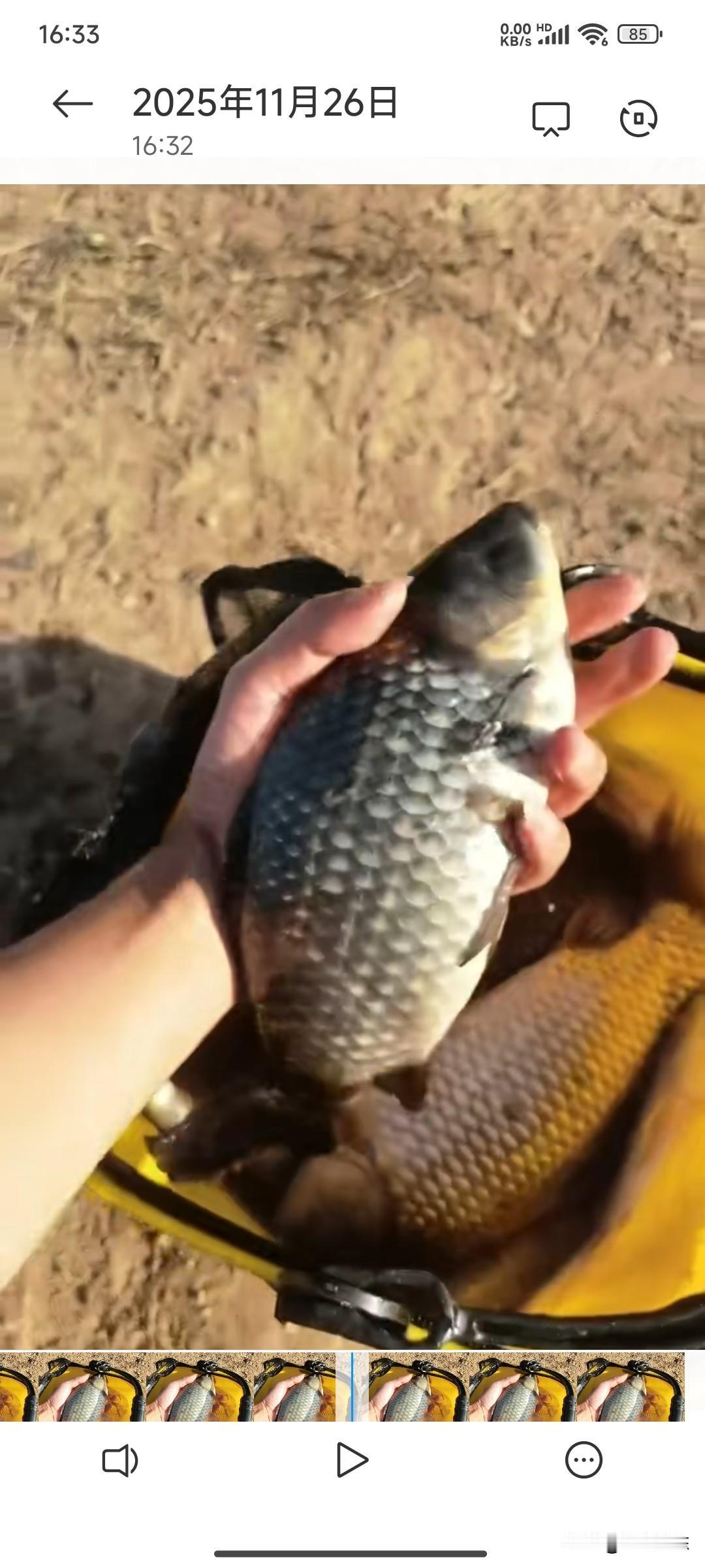 一个钓点钓得没人去了，就是我最喜欢的位置。
哪里出鱼了，只需要一个朋友圈，保证第