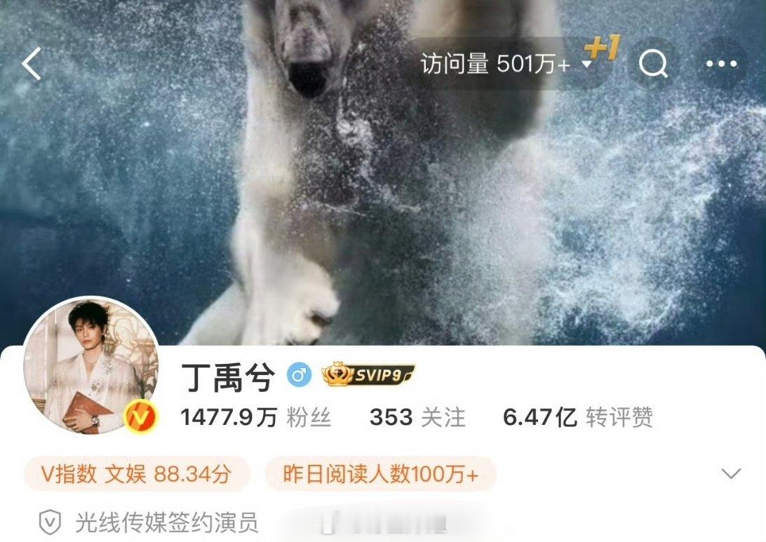 丁禹兮的微博访问量破500万，但是目前丁禹兮无剧播去宣传，只有一个中餐厅综艺，这