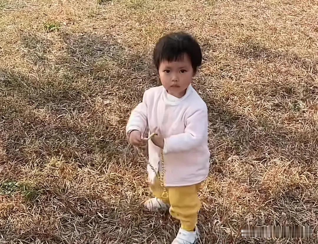 2岁娃草地捡条大黄链子，爸爸一看惊了：谁家丢的赶紧来认领！

两岁小姑娘在小区草