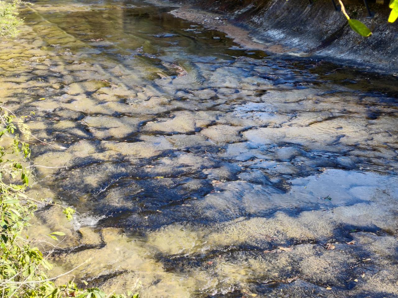 分享一张你随手拍的风光北水洋里有惊喜！