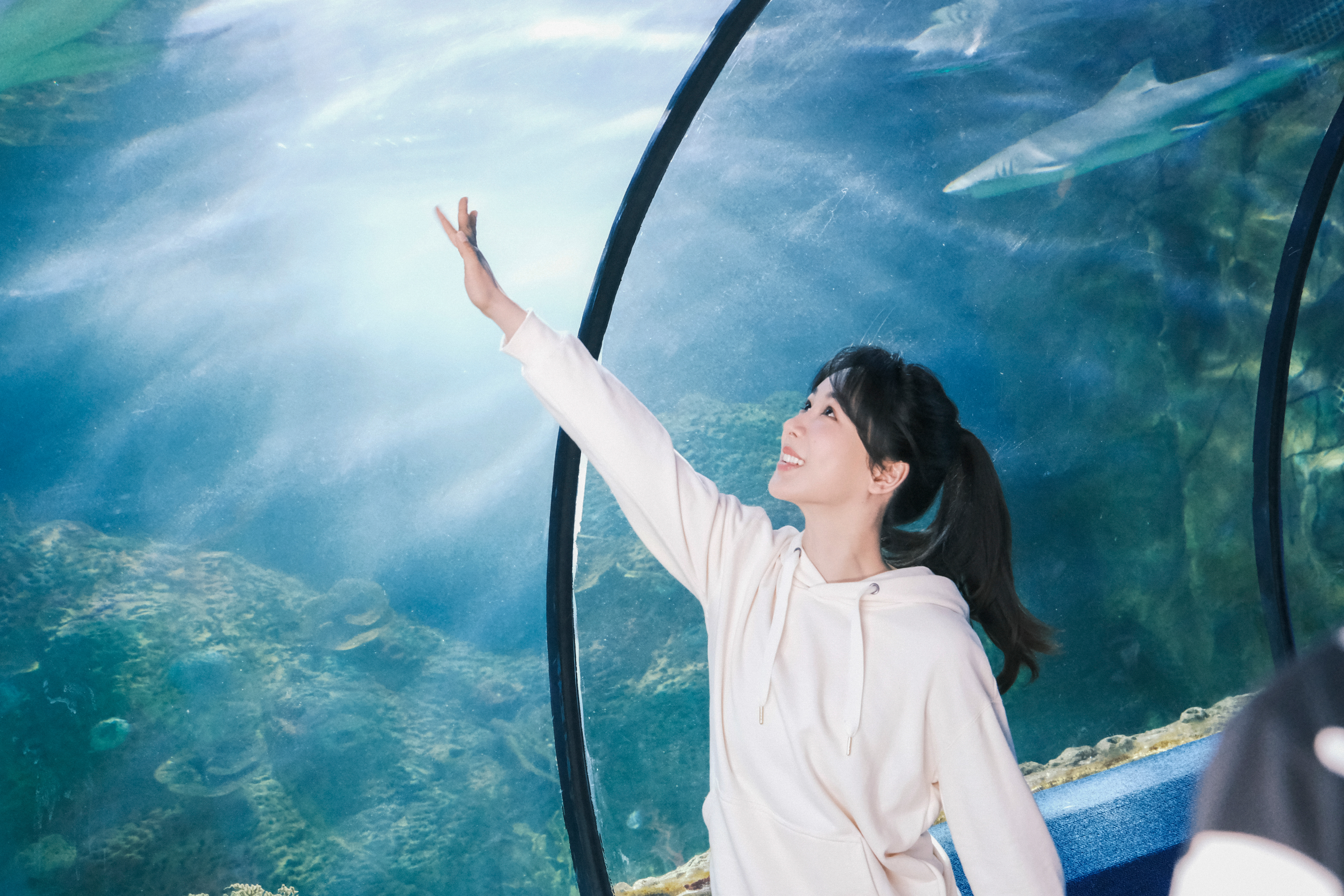 #杨紫[超话]##欢瀛光临#黄瀛子海洋馆一日游，志有帮忙拍照[哈哈]#杨紫要久久