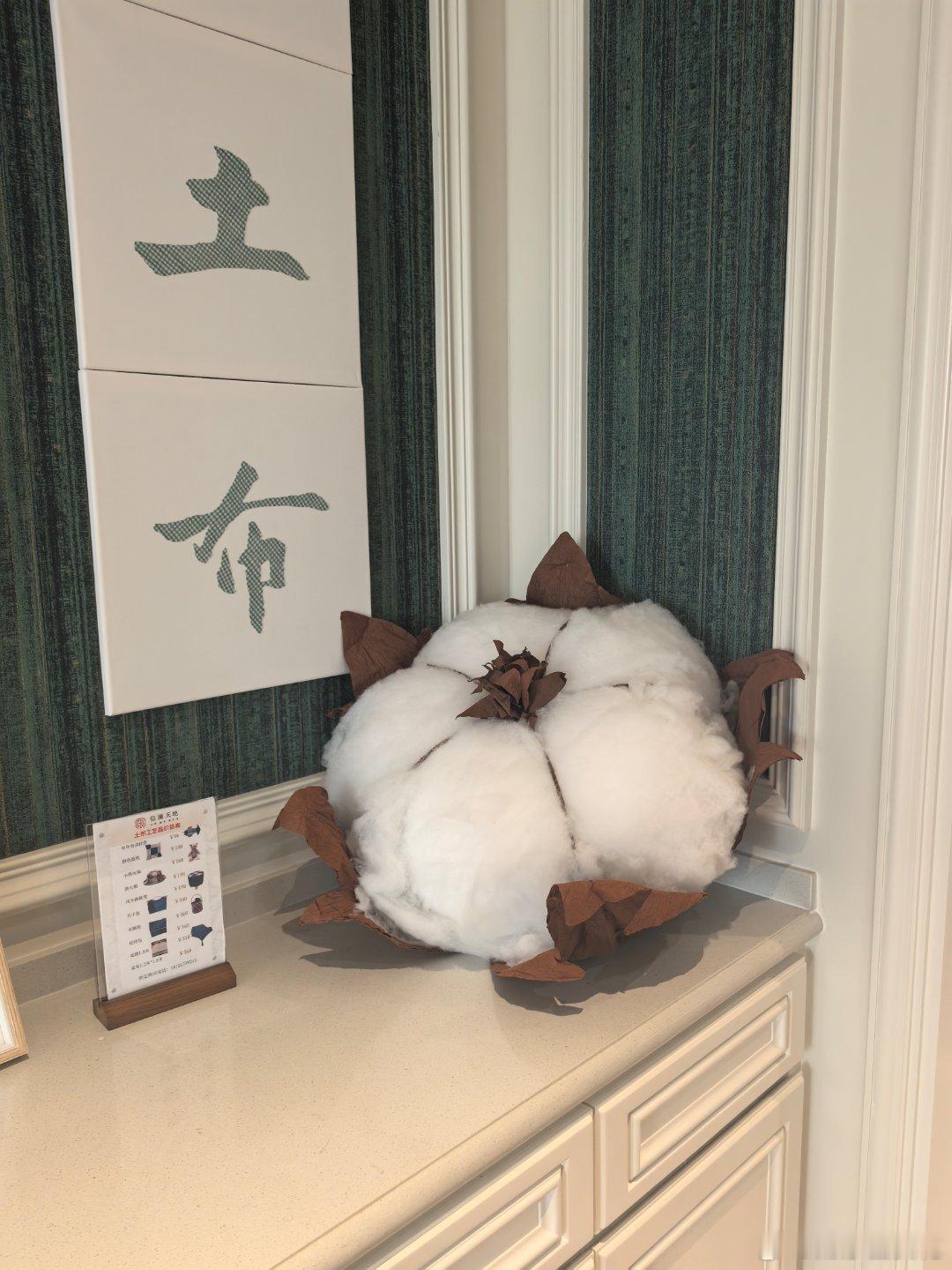 上海的花花，在崇明，见常熟的客户…… 