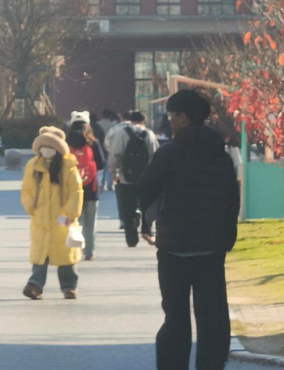 这种在图书馆最能学了 