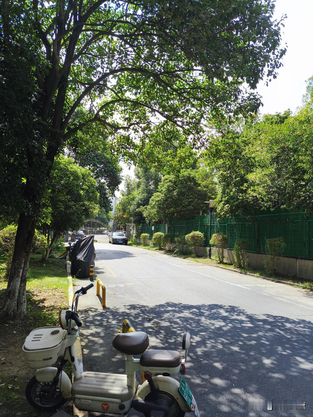 这几天南京热得简直没边儿了，活脱脱成了一个超级大“炼丹炉”，你就说呼吸吧，那呼出