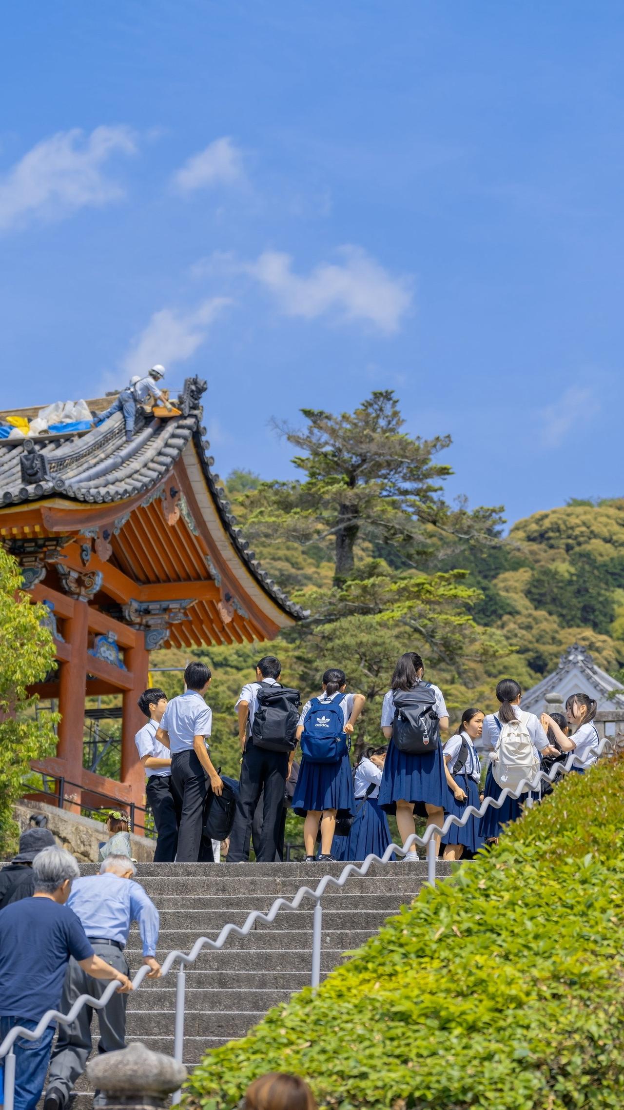 #日本 #旅行 #日本旅行 #京都 #治愈系风景