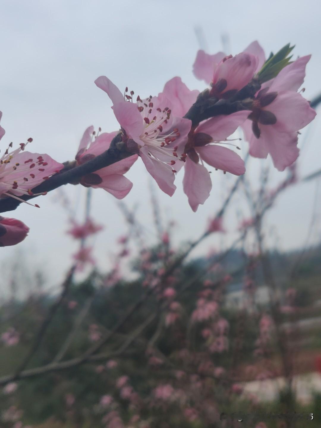 “读懂人生冷暖″，就想起了″学会世间情感”人生在世，谁没经历过人情冷暖呢？就像老