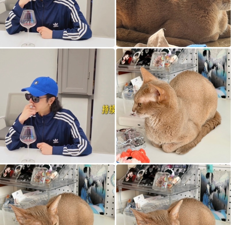 好萌 相册里俩孩一猫一样的两小坨 