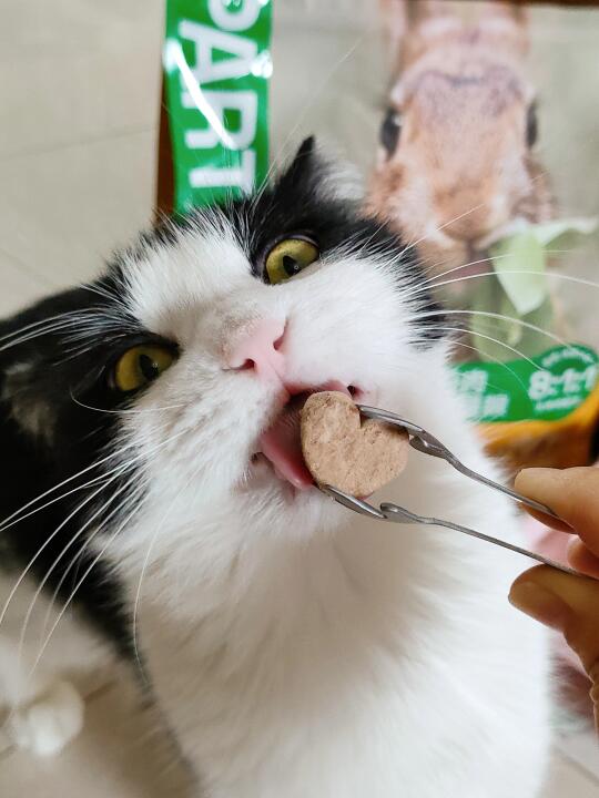 三胎家庭 一起狂炫挺难的