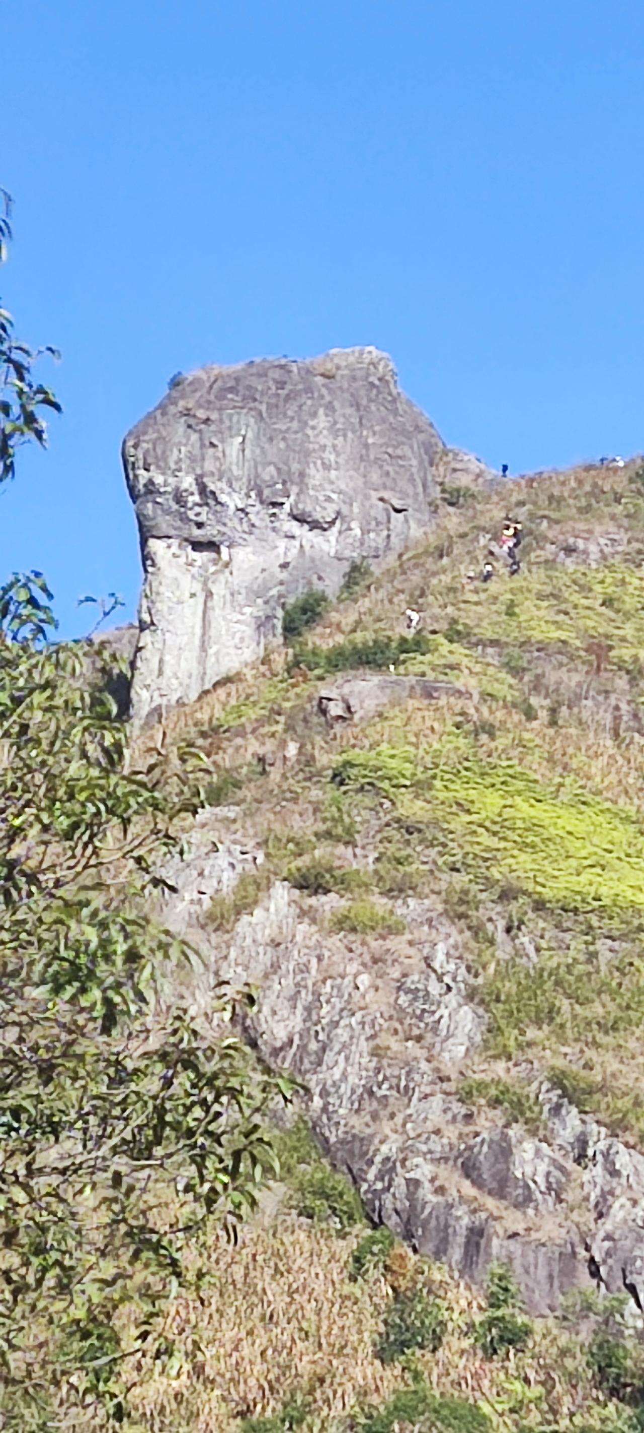 男子偷发小黄金，淡定陪警察现场

男子偷发小100克黄金，淡定陪同报警
在日常生