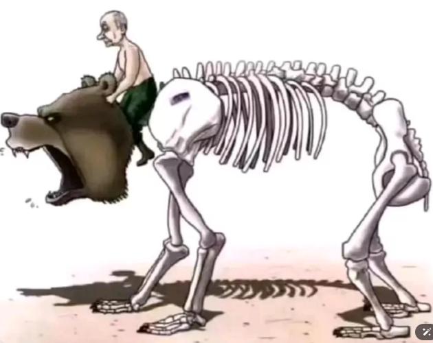 库尔斯克危机：俄罗斯的转折点？
《每日电讯报》指出，库尔斯克的战况或成俄罗斯的分