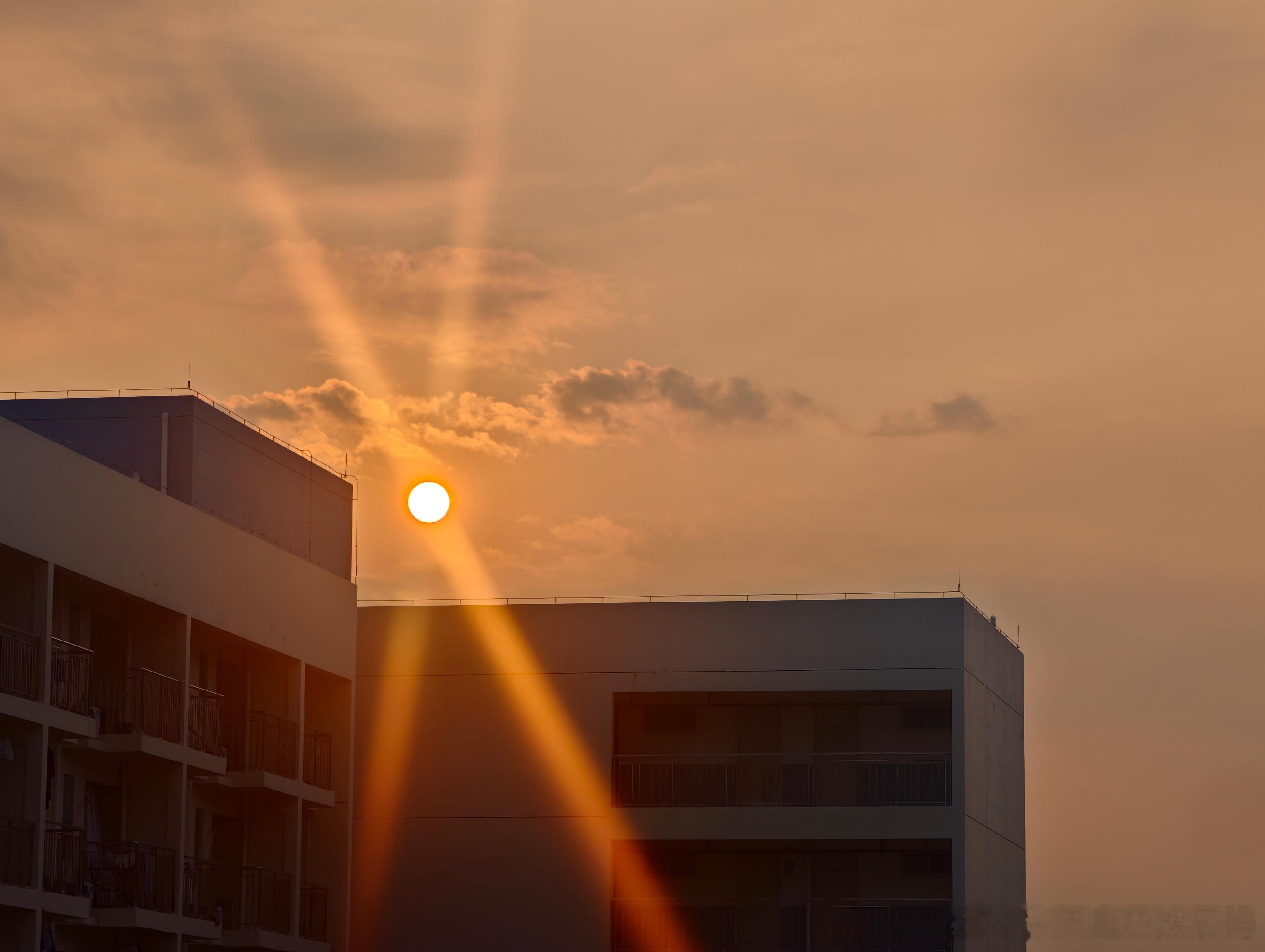 每天早起打卡早ﾉ☀，今日立秋 