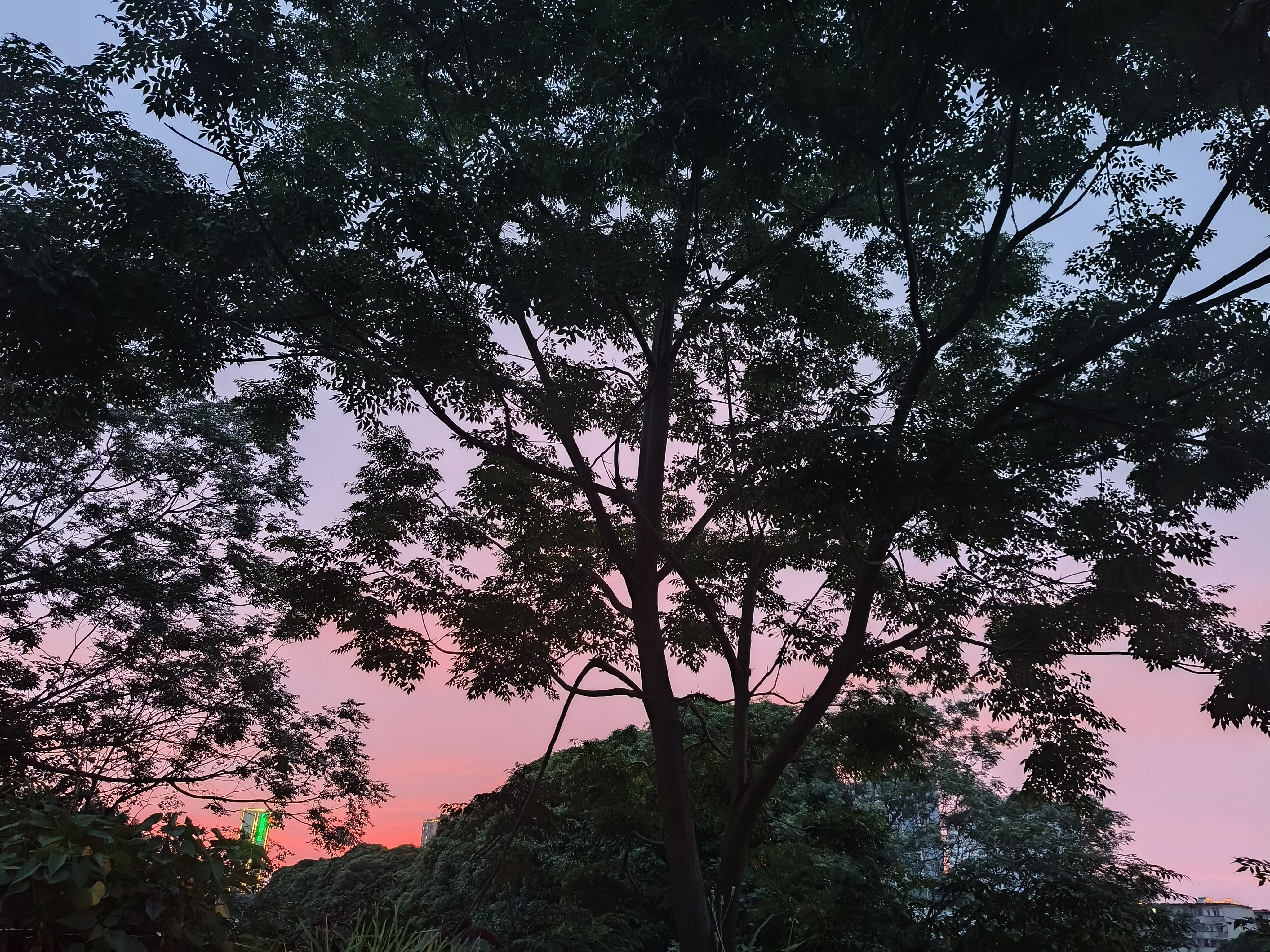 为何人类都爱看天空 